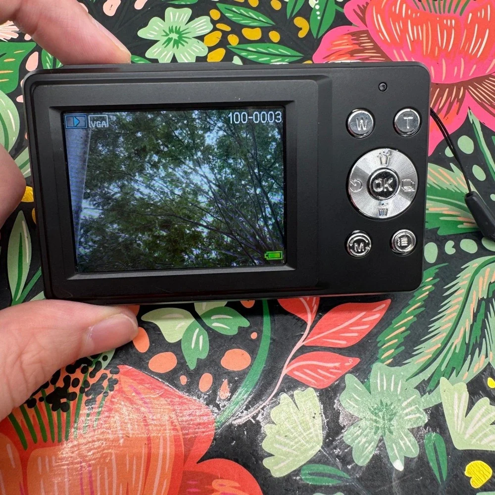 Vivitar VEC S124 Digital Camera Black Compact Point and Shoot VEC-S124 Flash